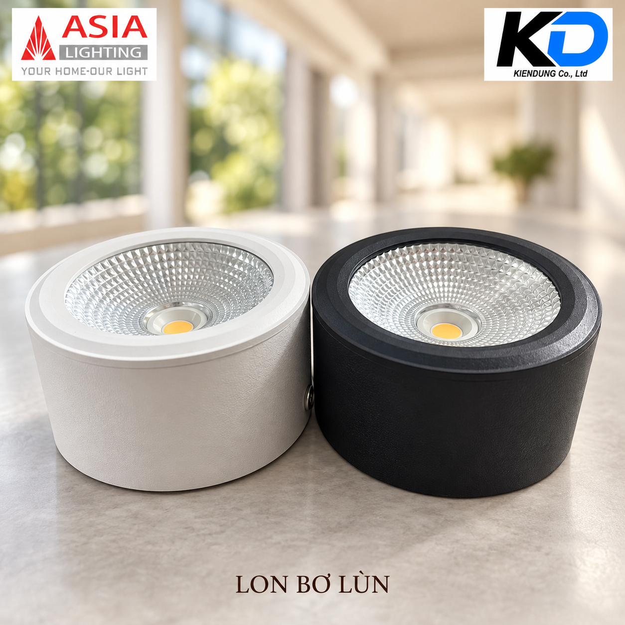 Cặp đèn COB trắng đen viền trơn-3