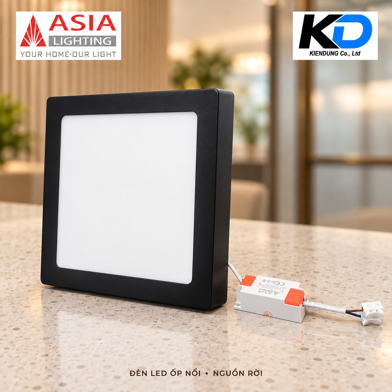 Đèn LED ốp nổi kèm nguồn rời-5