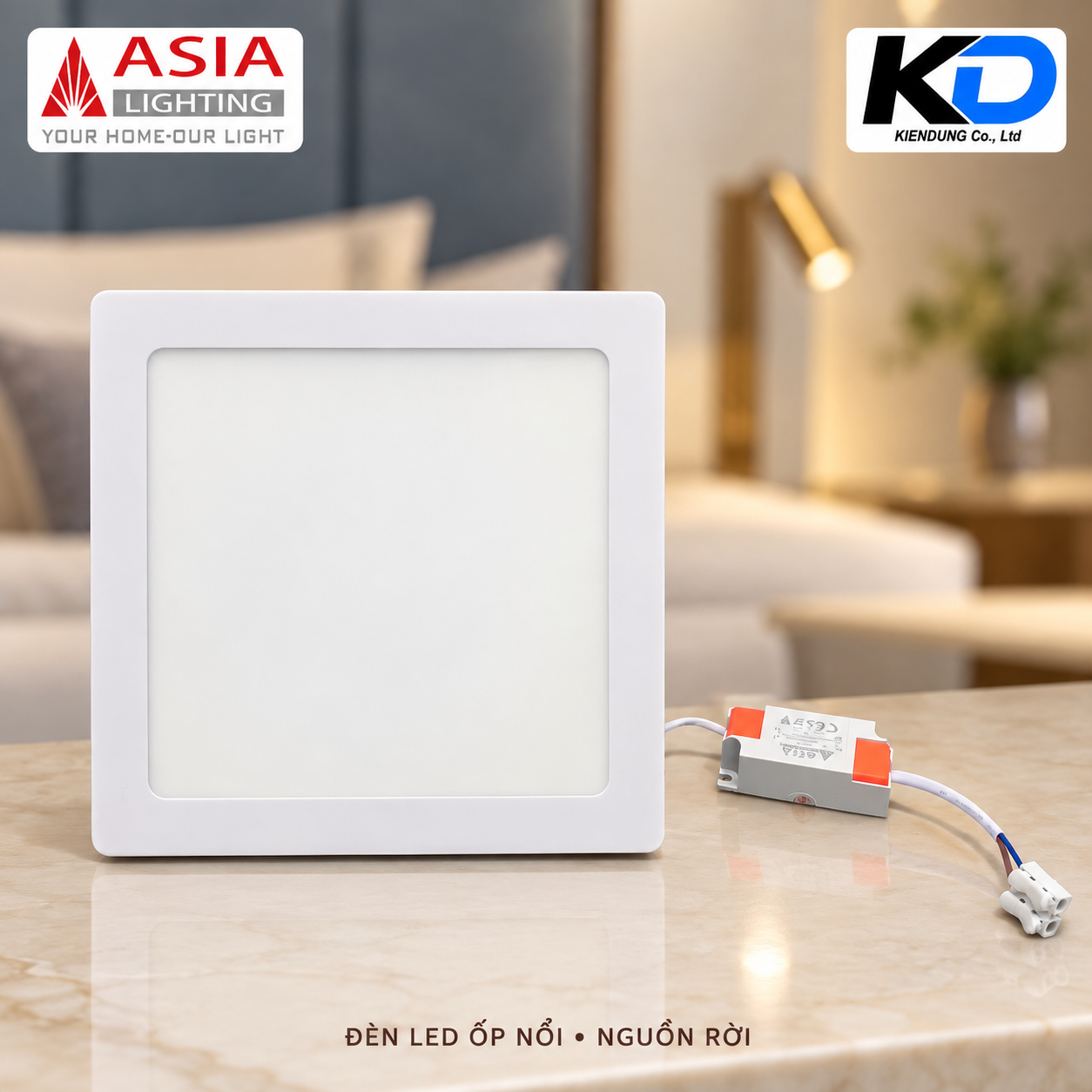 Đèn LED ốp nổi kèm nguồn rời-6