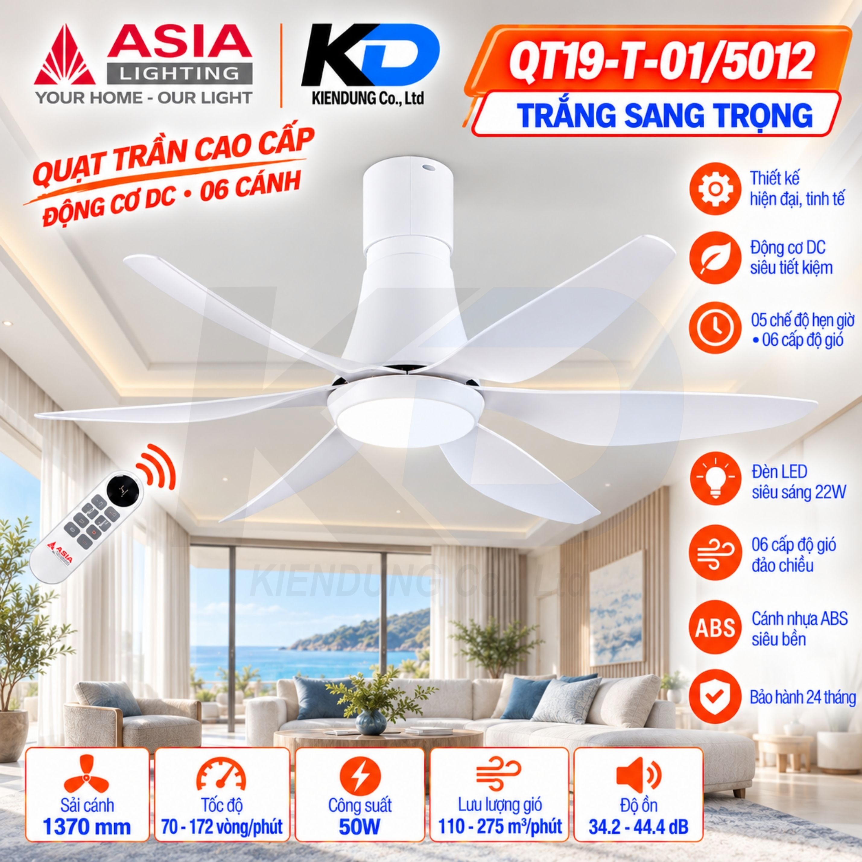 KD_Q19T